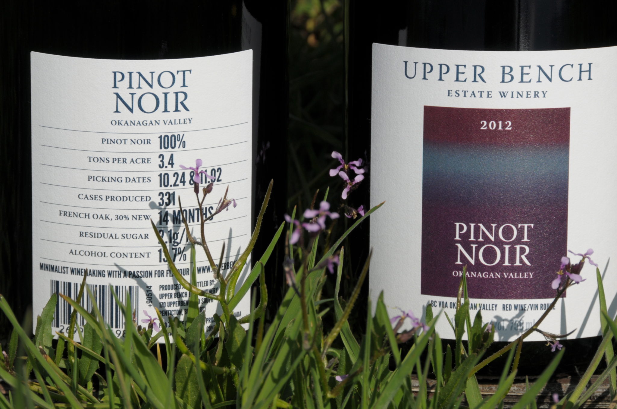2012 Pinot Noir Released