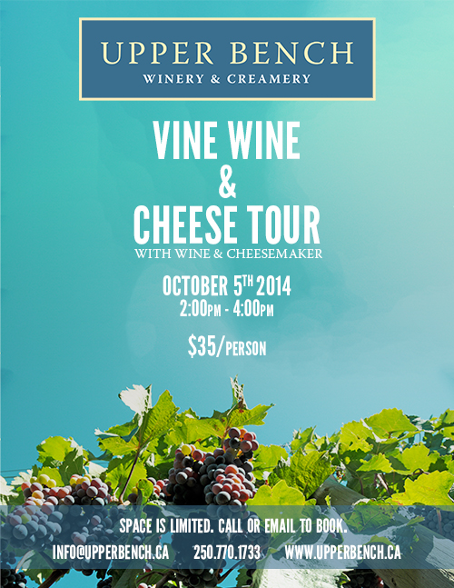 Vine Wine & Cheese Tour