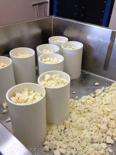 Salting Upper Bench King Cole blue cheese